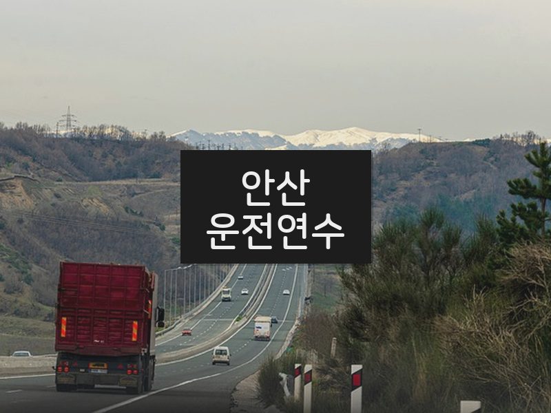 안산운전연수 후기