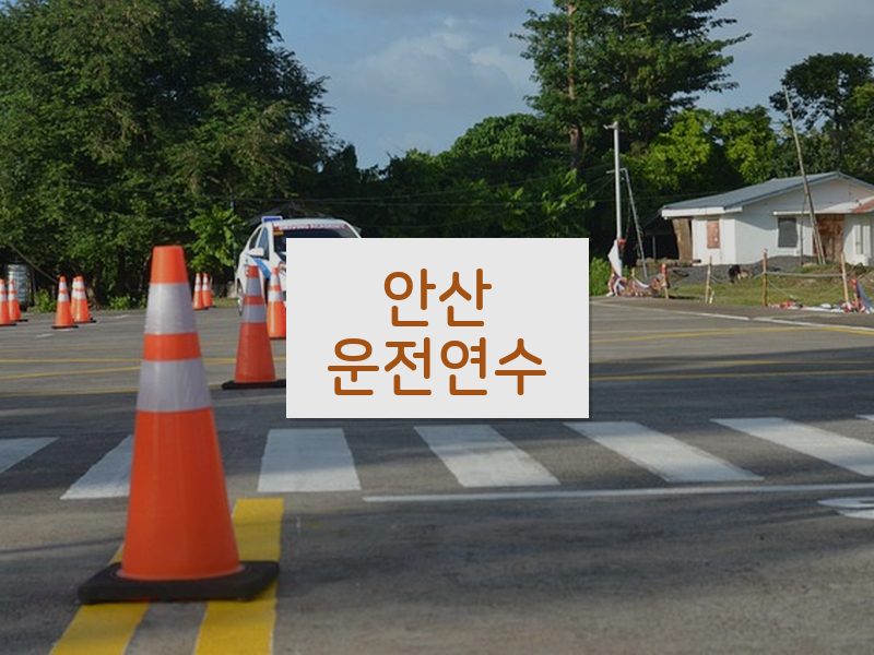 안산운전연수 후기