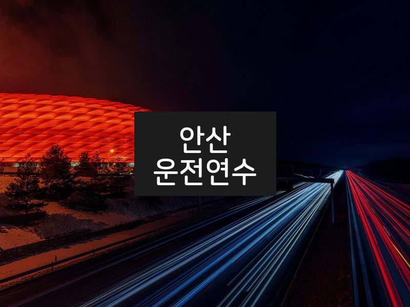 안산운전연수 후기