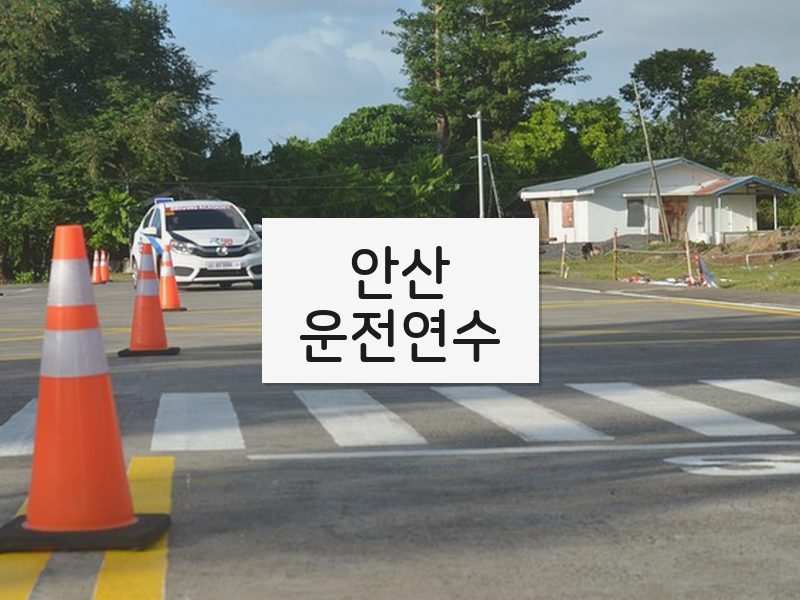 안산운전연수 후기