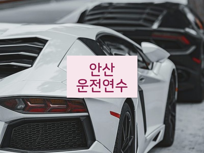 안산운전연수 후기