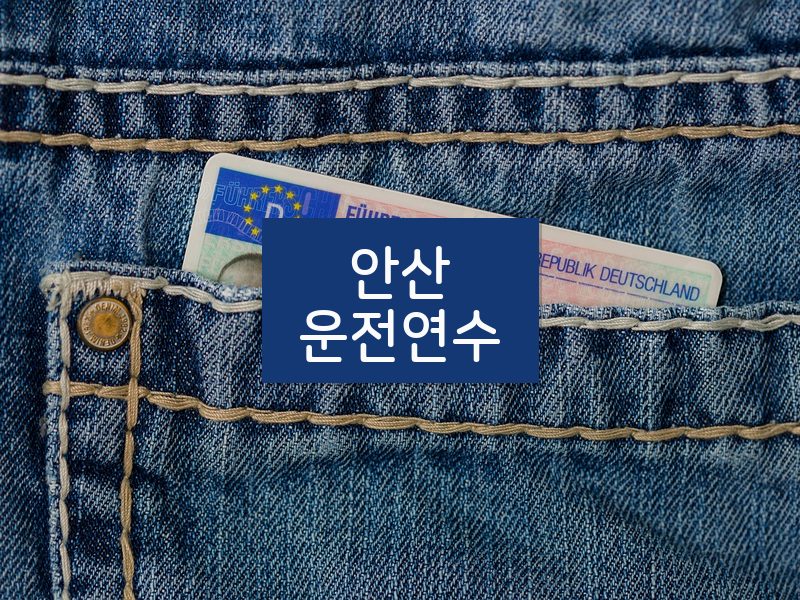 안산운전연수 후기