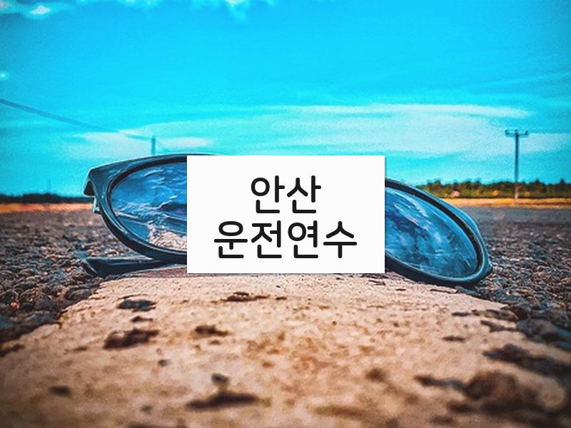 안산운전연수 후기