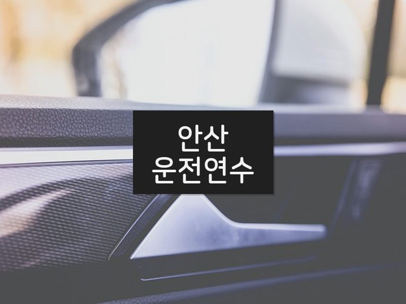 안산운전연수 후기