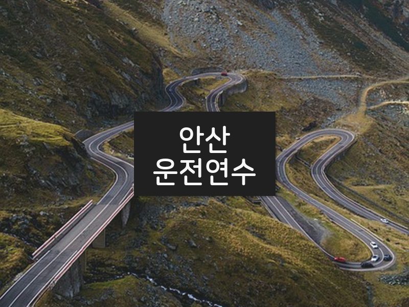 안산운전연수 후기