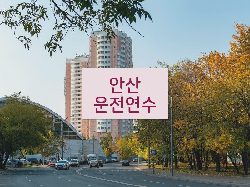 안산운전연수 후기
