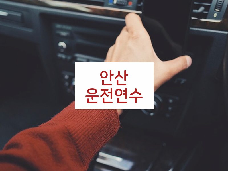 안산운전연수 후기