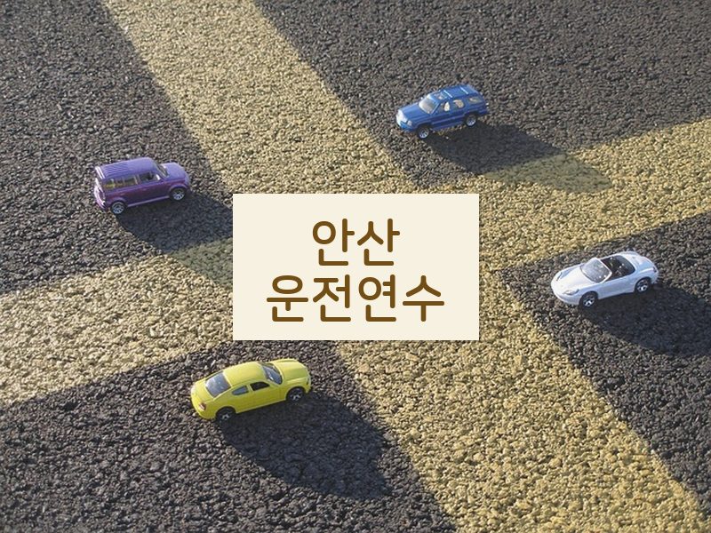 안산운전연수 후기