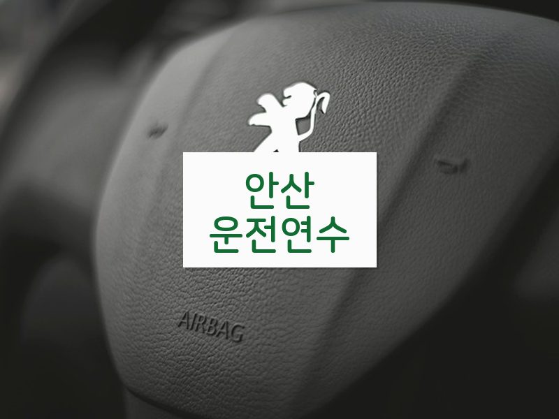 안산운전연수 후기