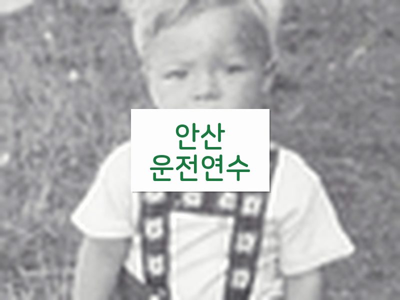 안산운전연수 후기