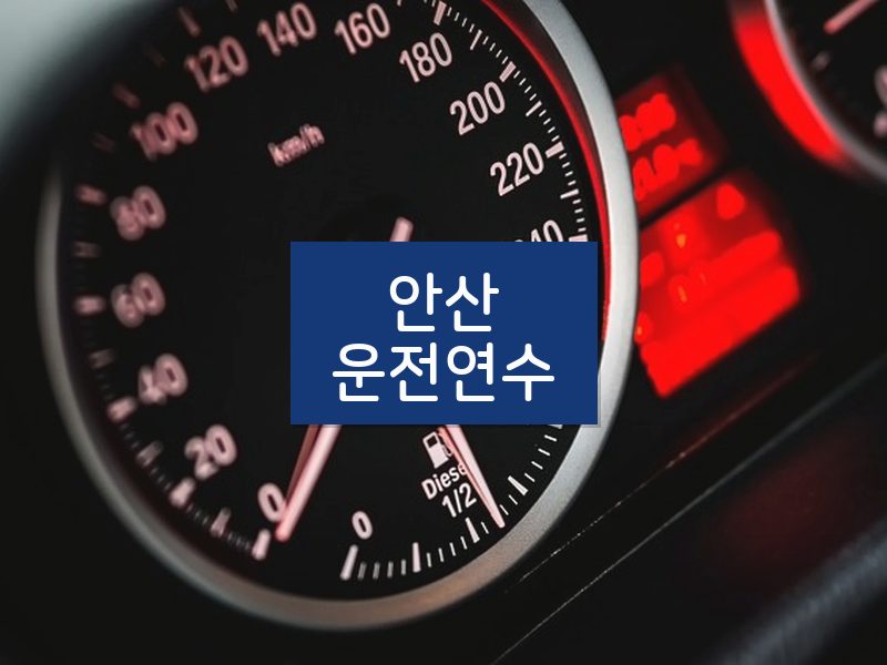 안산운전연수 후기