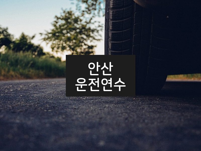 안산운전연수 후기