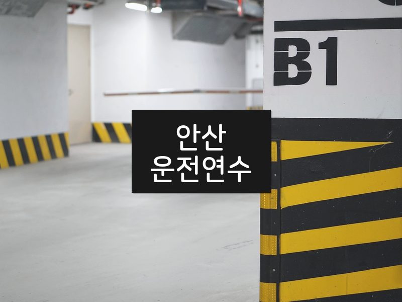 안산운전연수 후기
