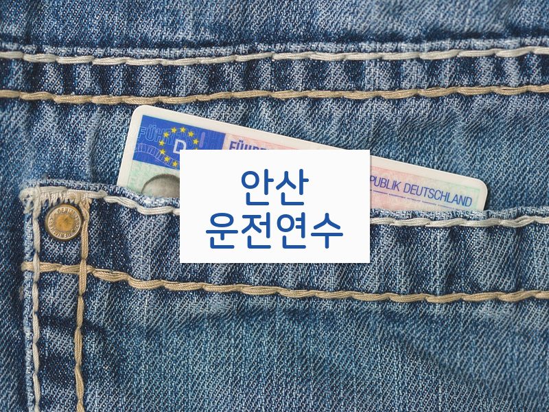 안산운전연수 후기