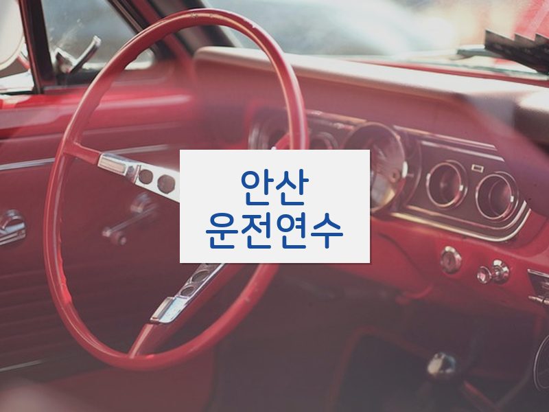 안산운전연수 후기