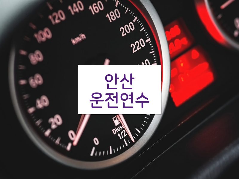 안산운전연수 후기