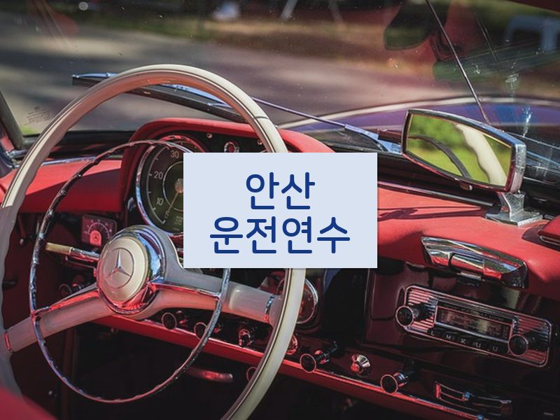 안산운전연수 후기