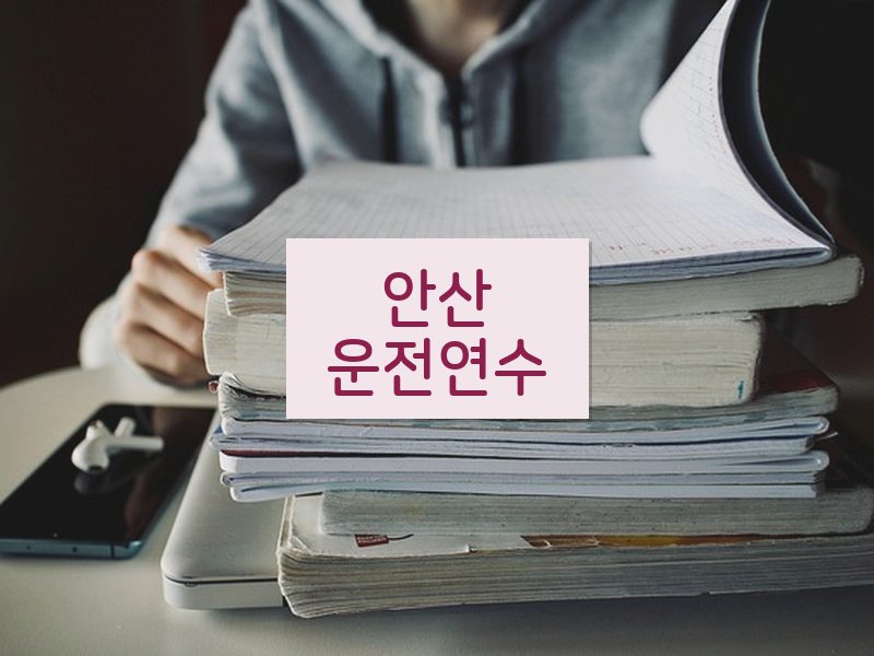 안산운전연수 후기