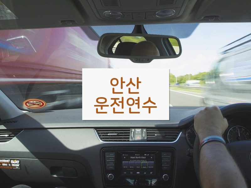 안산운전연수 후기