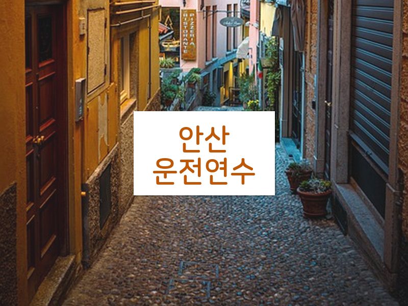 안산운전연수 후기