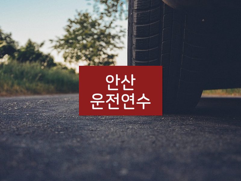 안산운전연수 후기