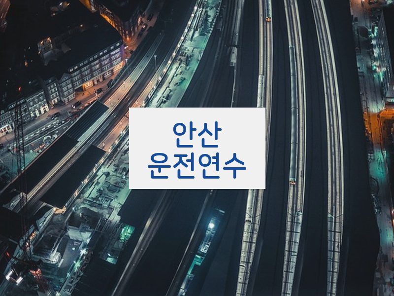 안산운전연수 후기