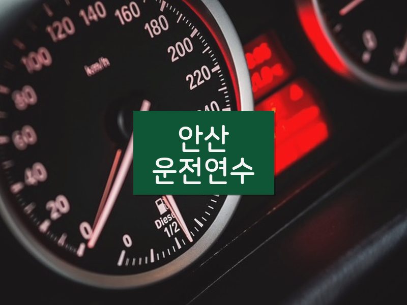 안산운전연수 후기