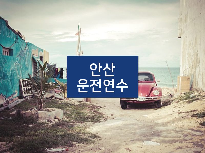 안산운전연수 후기