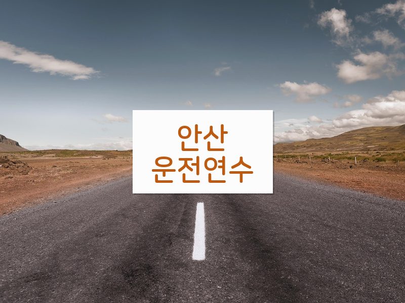 안산운전연수 후기