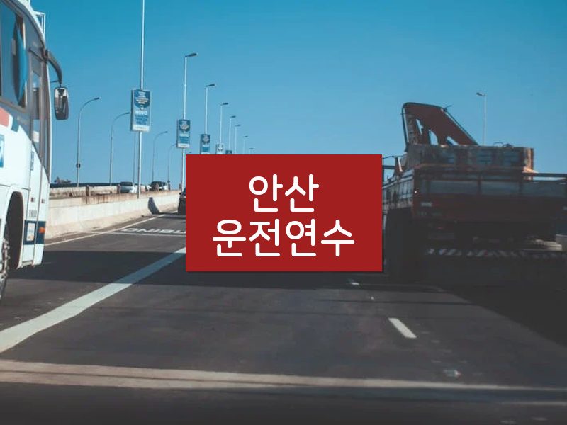 안산운전연수 후기