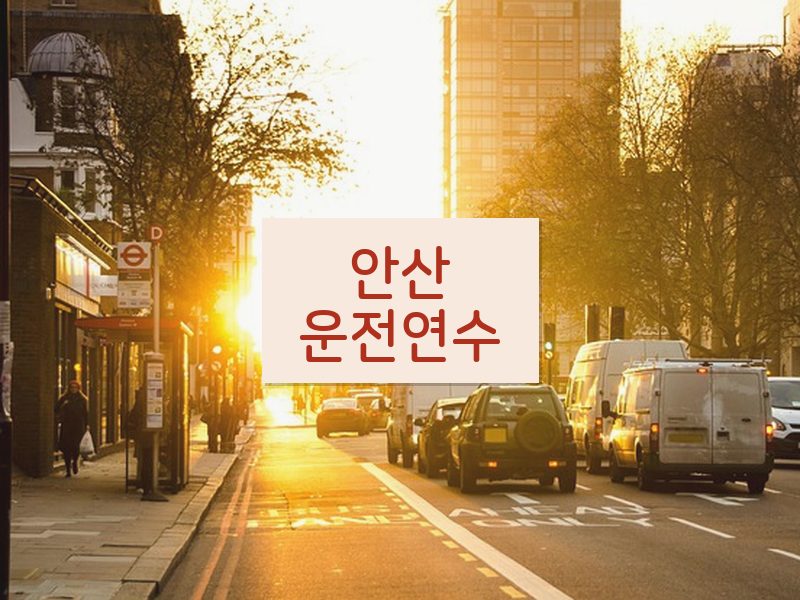 안산운전연수 후기