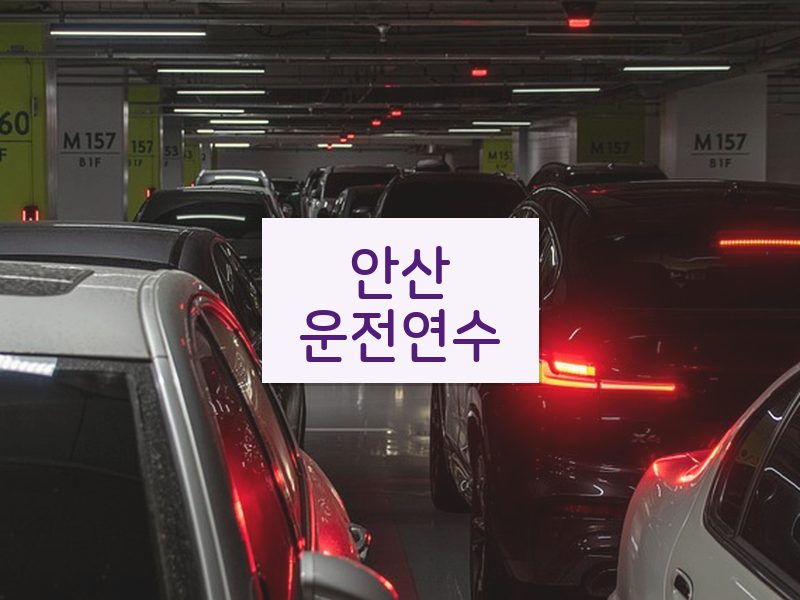 안산운전연수 후기
