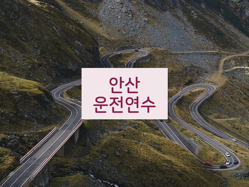 안산운전연수 후기