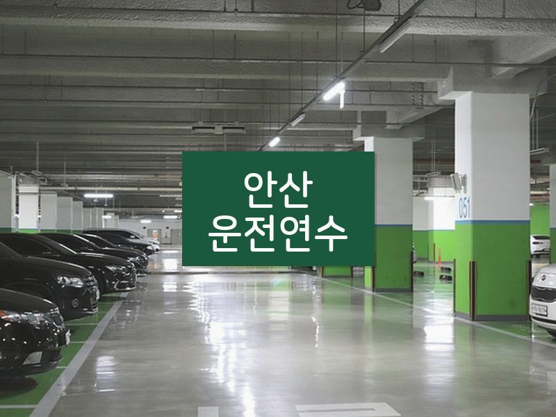 안산운전연수 후기