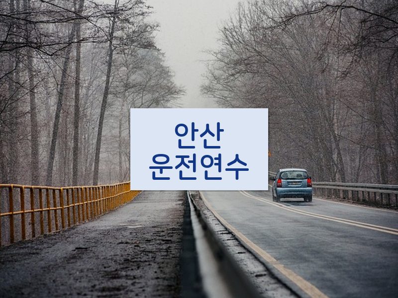 안산운전연수 후기