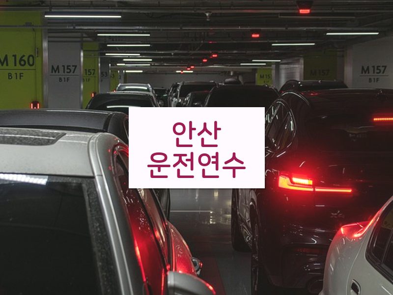 안산운전연수 후기