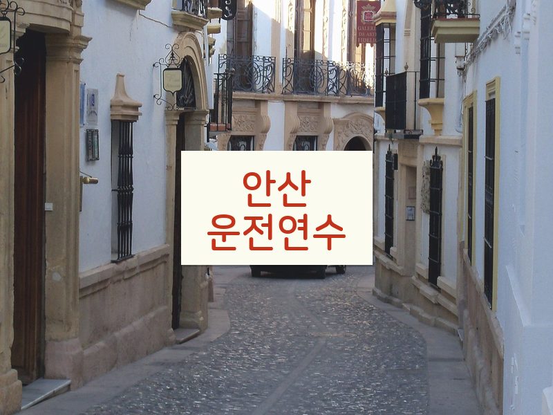 안산운전연수 후기