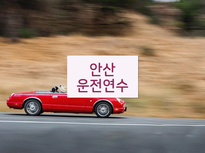 안산운전연수 후기