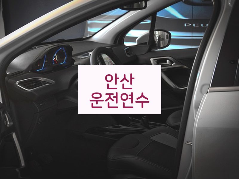 안산운전연수 후기