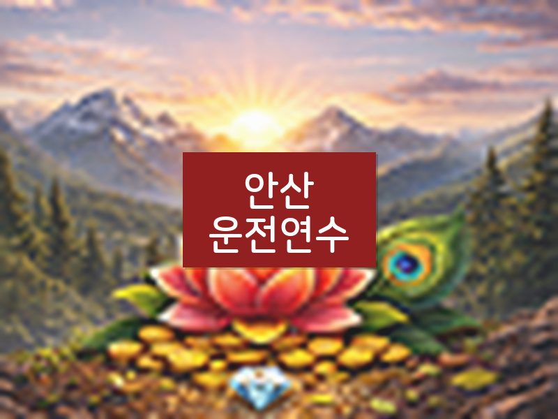 안산운전연수 후기