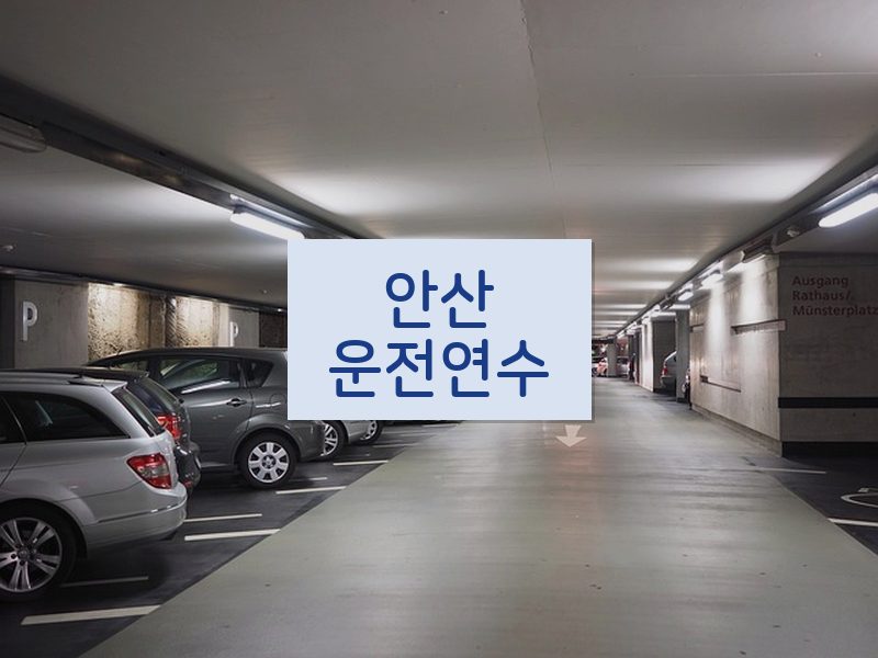 안산운전연수 후기