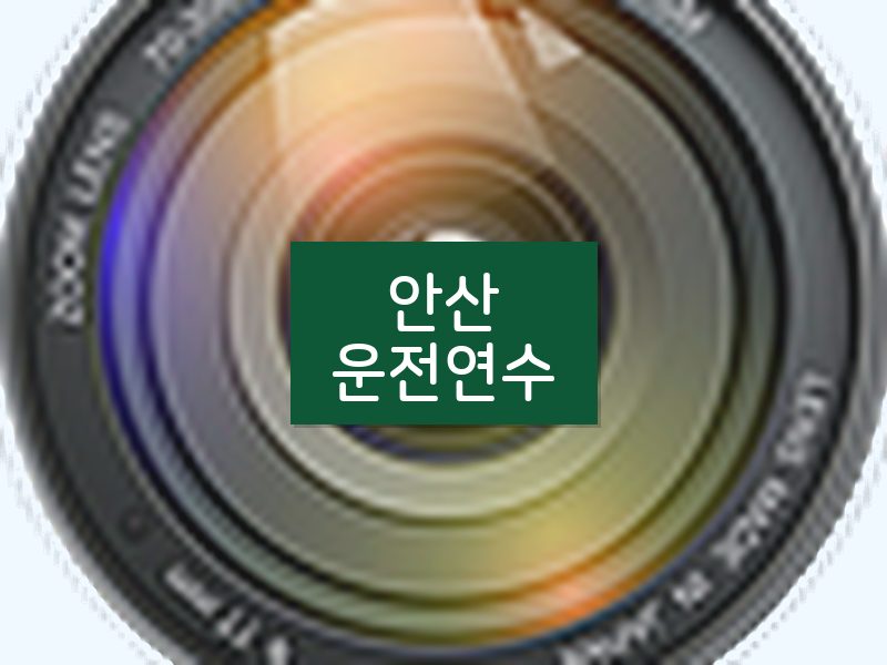 안산운전연수 후기