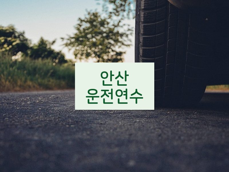 안산운전연수 후기