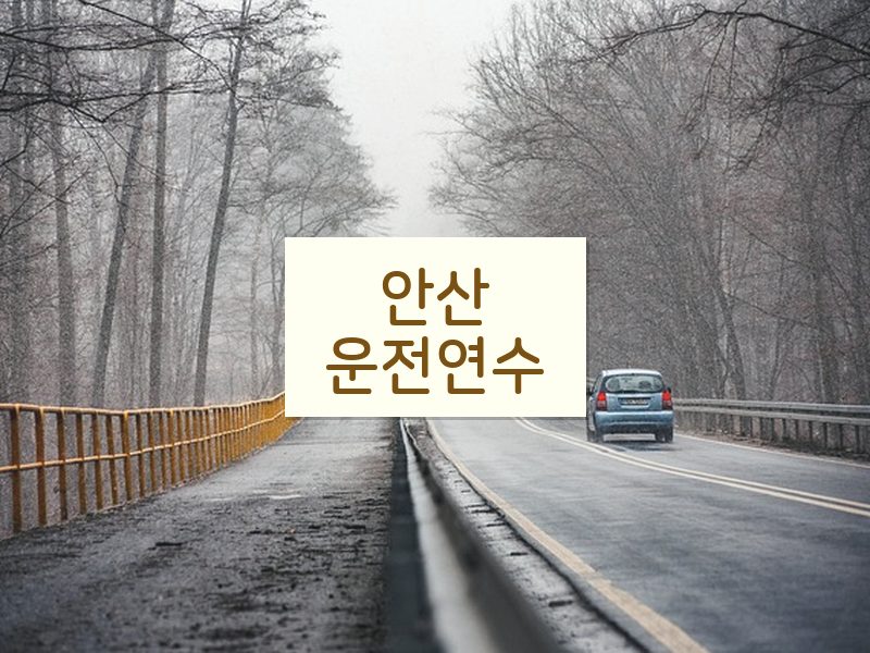 안산운전연수 후기