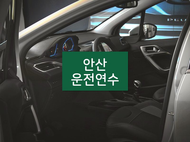 안산운전연수 후기