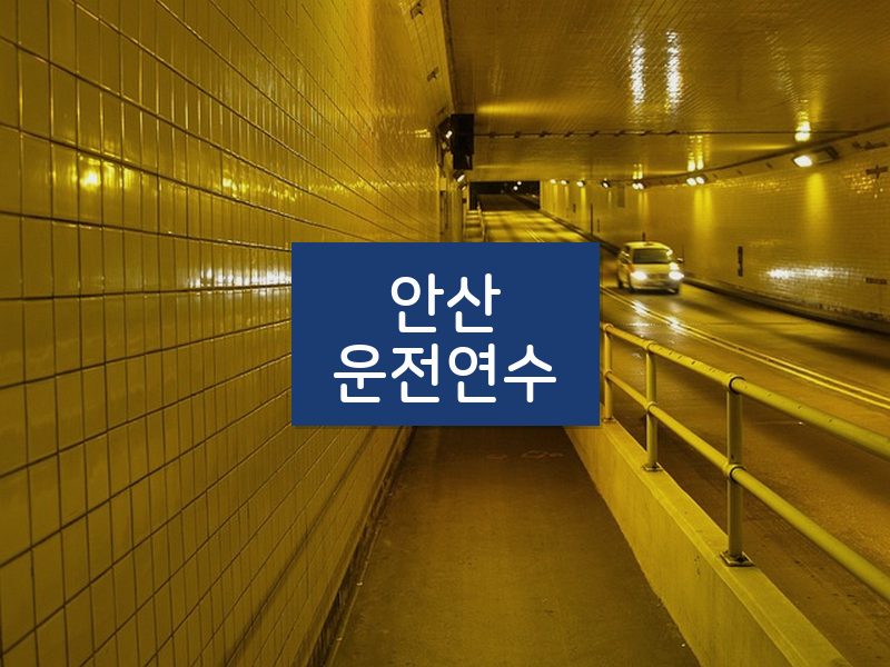 안산운전연수 후기