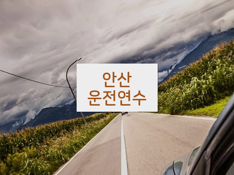 안산운전연수 후기