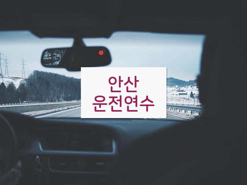 안산운전연수 후기