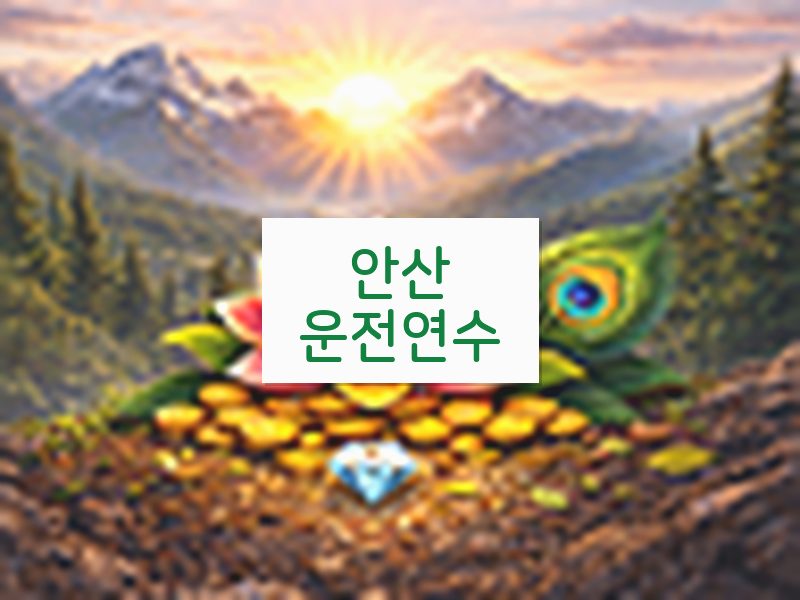 안산운전연수 후기