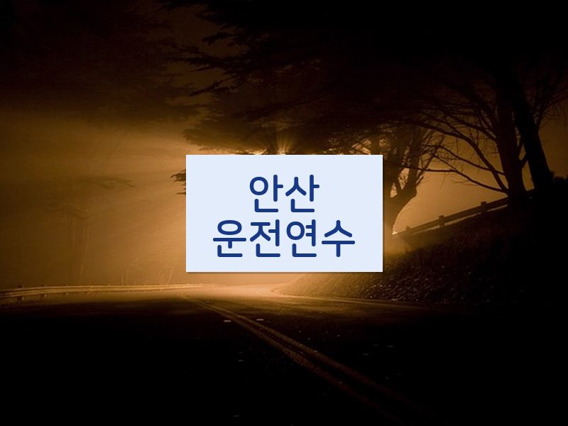 안산운전연수 후기